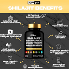 Blend™️ Sea Moss & Shilajit Power Bundle