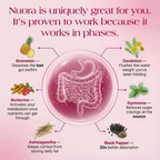 Oranic Extract® Gut Biofilm Ritual