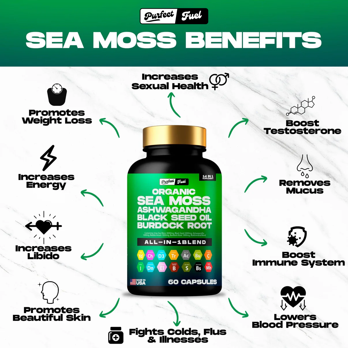 Blend™️ Sea Moss & Shilajit Power Bundle