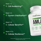 Amla Superfruit Capsules
