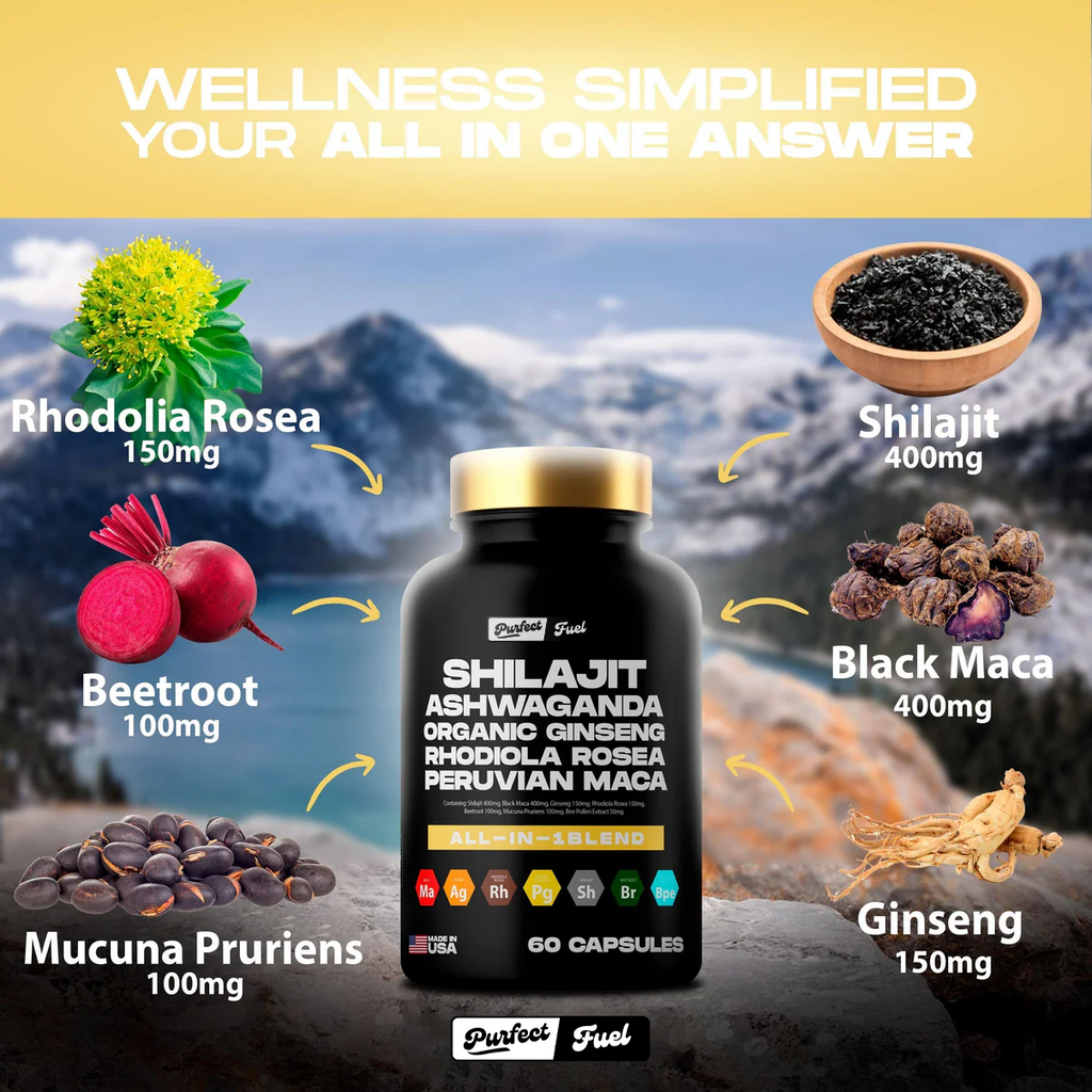 Blend™️ Sea Moss & Shilajit Power Bundle