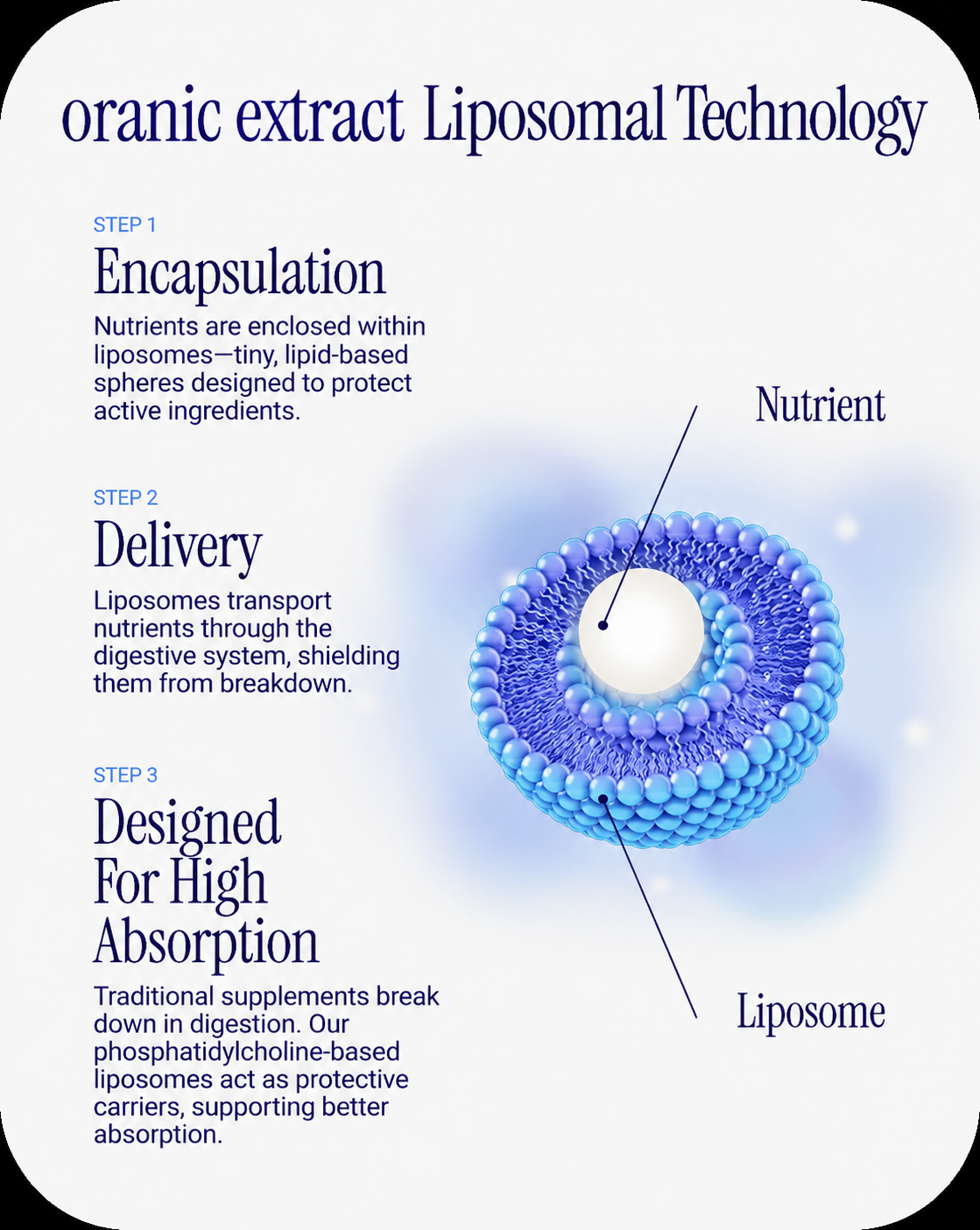 Oranic Extract Liposomal Glutathione