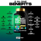 Blend™️ Sea Moss & Shilajit Power Bundle