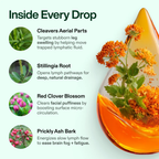 ORANIC EXTRACT® Lymphatic Drainage Drops
