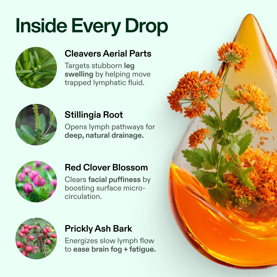 ORANIC EXTRACT® Lymphatic Drainage Drops