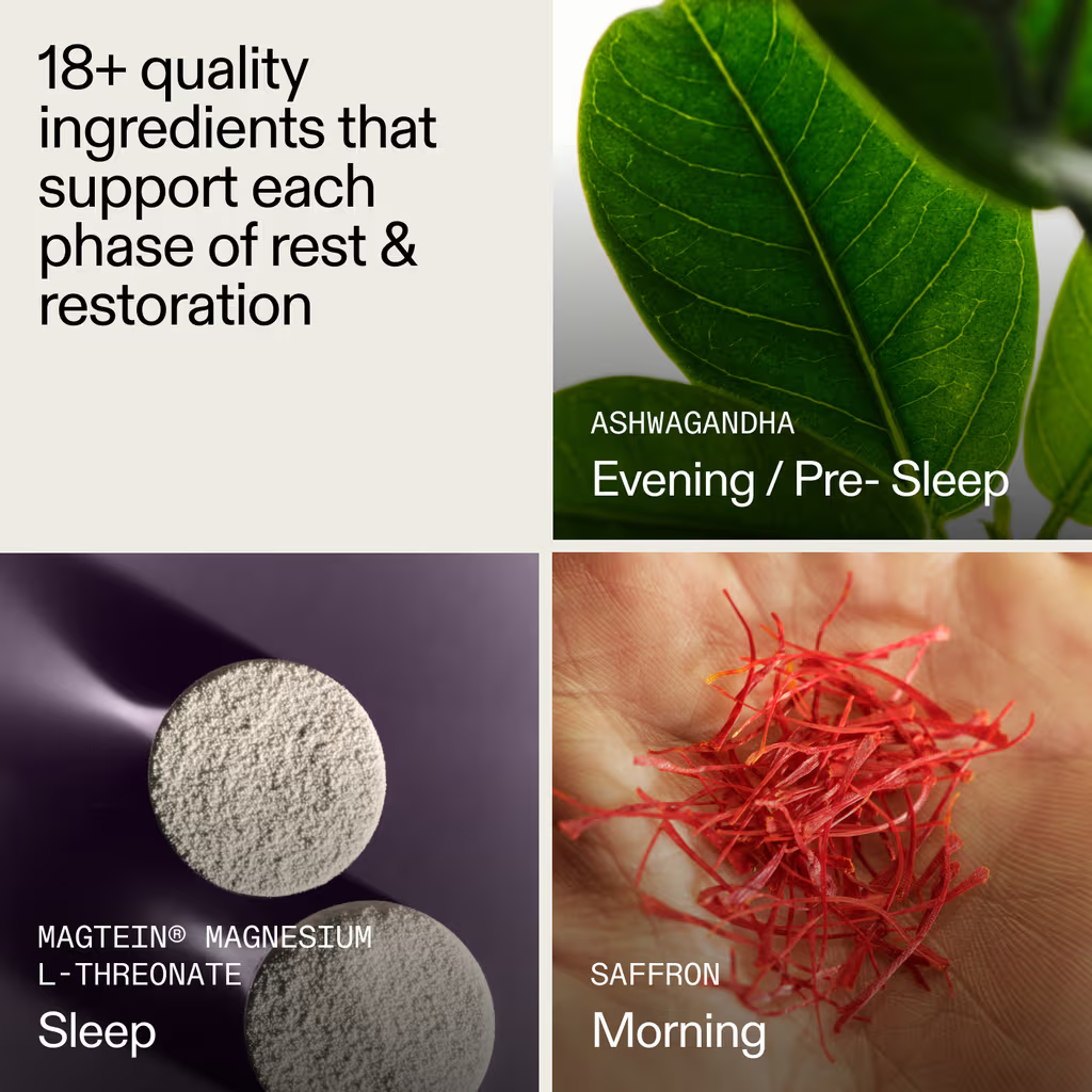 Zovost: Nightly Sleep Support